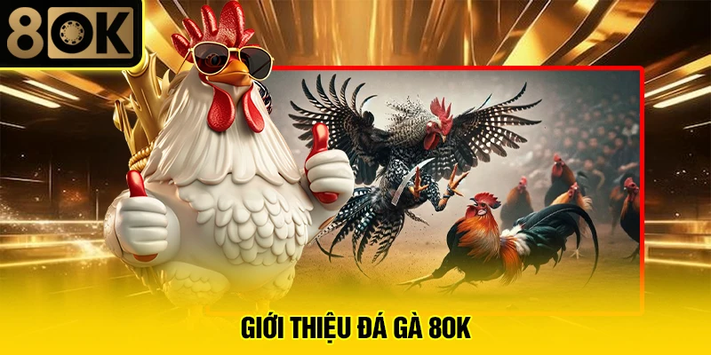 Đá Gà 8OK 1 Giới thiệu đá gà 8OK