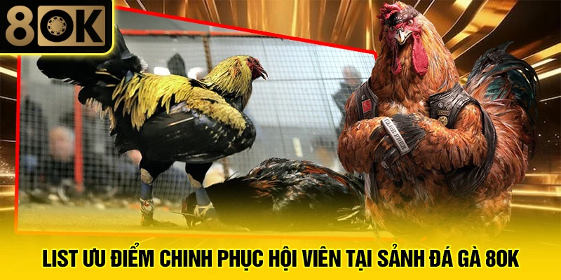 Đá Gà 8OK 3 List ưu điểm chinh phục hội viên tại sảnh đá gà 8OK