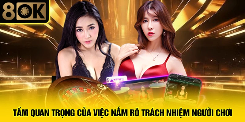 Trách Nhiệm Người Chơi 1 Tầm quan trọng của việc nắm rõ trách nhiệm người chơi